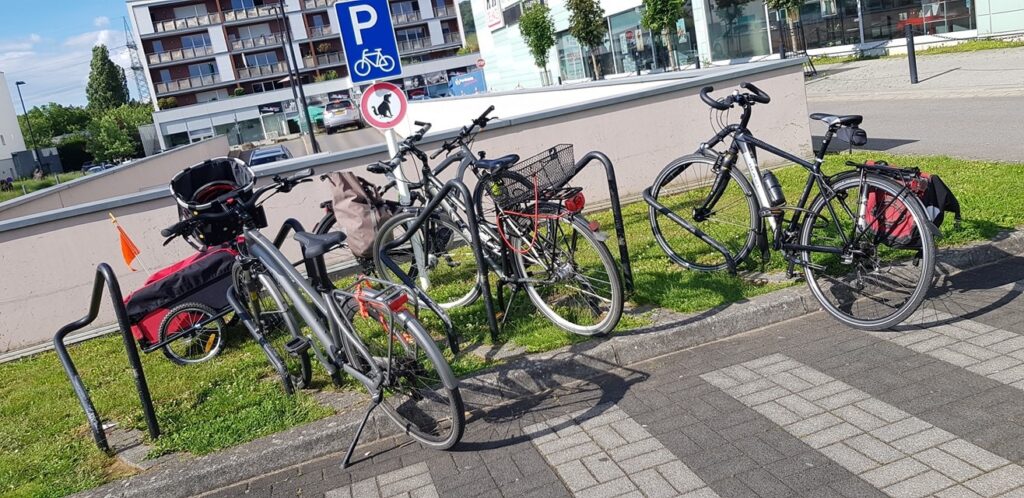 Urban Biodiversity Bike Ride